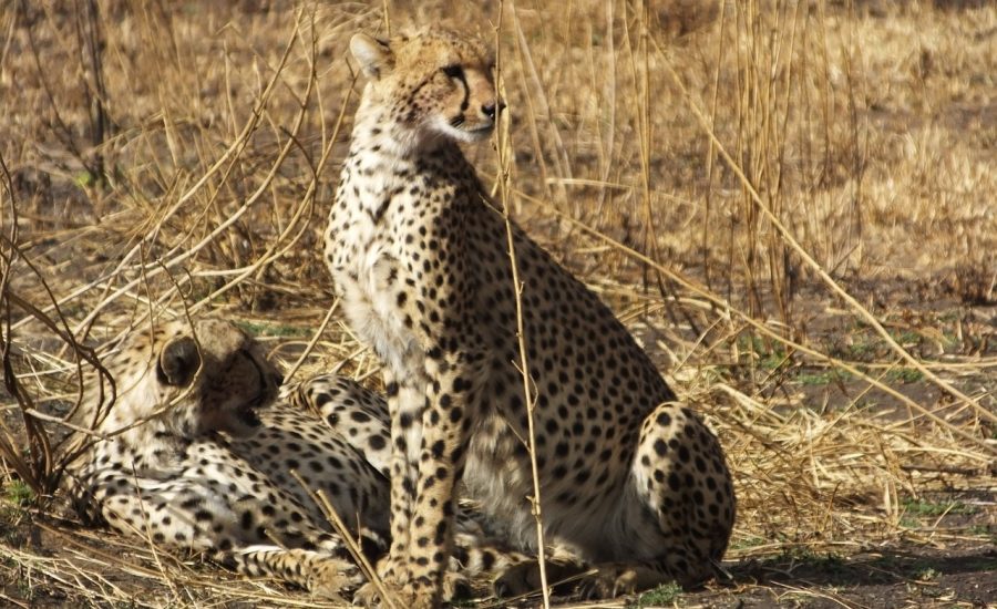 Serengeti National Park